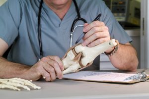 How to Choose the Best Orthopedic Surgeon for You; A doctor or intern studying a skeletal model of the human knee